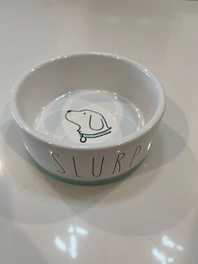 Ceramic Dog Bowl in White with Mint Accent - SLURP Design